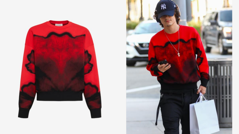 TIMOTHEE CHALAMET WEARING ALEXANDER MCQUEEN