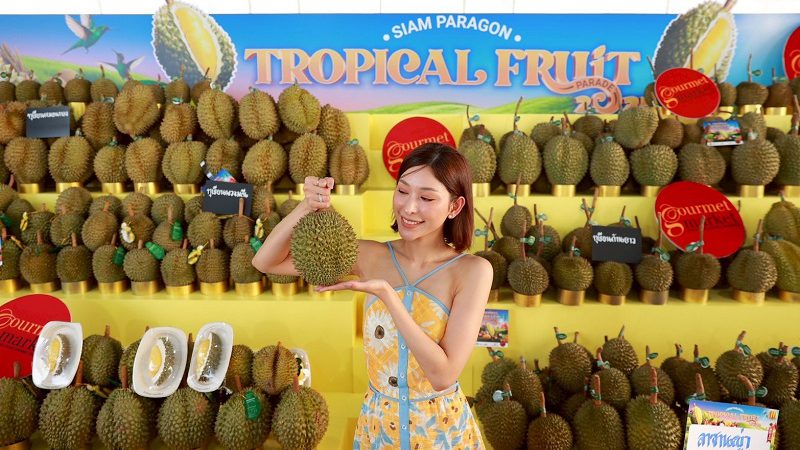 สยามพารากอน สนับสนุนเกษตรกรไทย ส่งตรงผลไม้คุณภาพดีจากผู้ผลิตกว่า 78 แหล่งทั่วประเทศ ในงาน “SIAM PARAGON TROPICAL FRUIT PARADE 2025” จัดเต็มทุเรียนหายากกว่า 40 สายพันธุ์ และอิ่มไม่อั้นกับบุฟเฟต์ทุเรียน 11 วัน 77 รอบ ตั้งแต่วันนี้ถึง 5 พ.ค.2568 ณ พาร์ค พารากอน