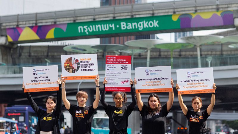 ไทยร่วมส่งเสียงอันทรงพลังกับเครือข่ายกว่า 270 องค์กรทั่วโลก เรียกร้องธนาคารโลกหยุดสนับสนุนฟาร์มสัตว์อุตสาหกรรม