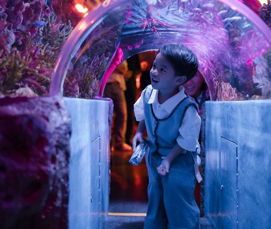 ซีไลฟ์ แบงคอก เปิดเคมเปญใหม่! พร้อมเสิร์ฟ Baby Shark Deep Sea Carnival สีสันแห่งความสนุกสุดแฟนตาซี